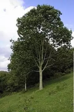 640.webp (2).jpg 640.webp (2).jpg