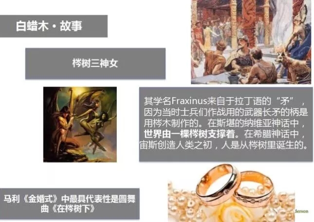 640.webp (4).jpg 640.webp (4).jpg