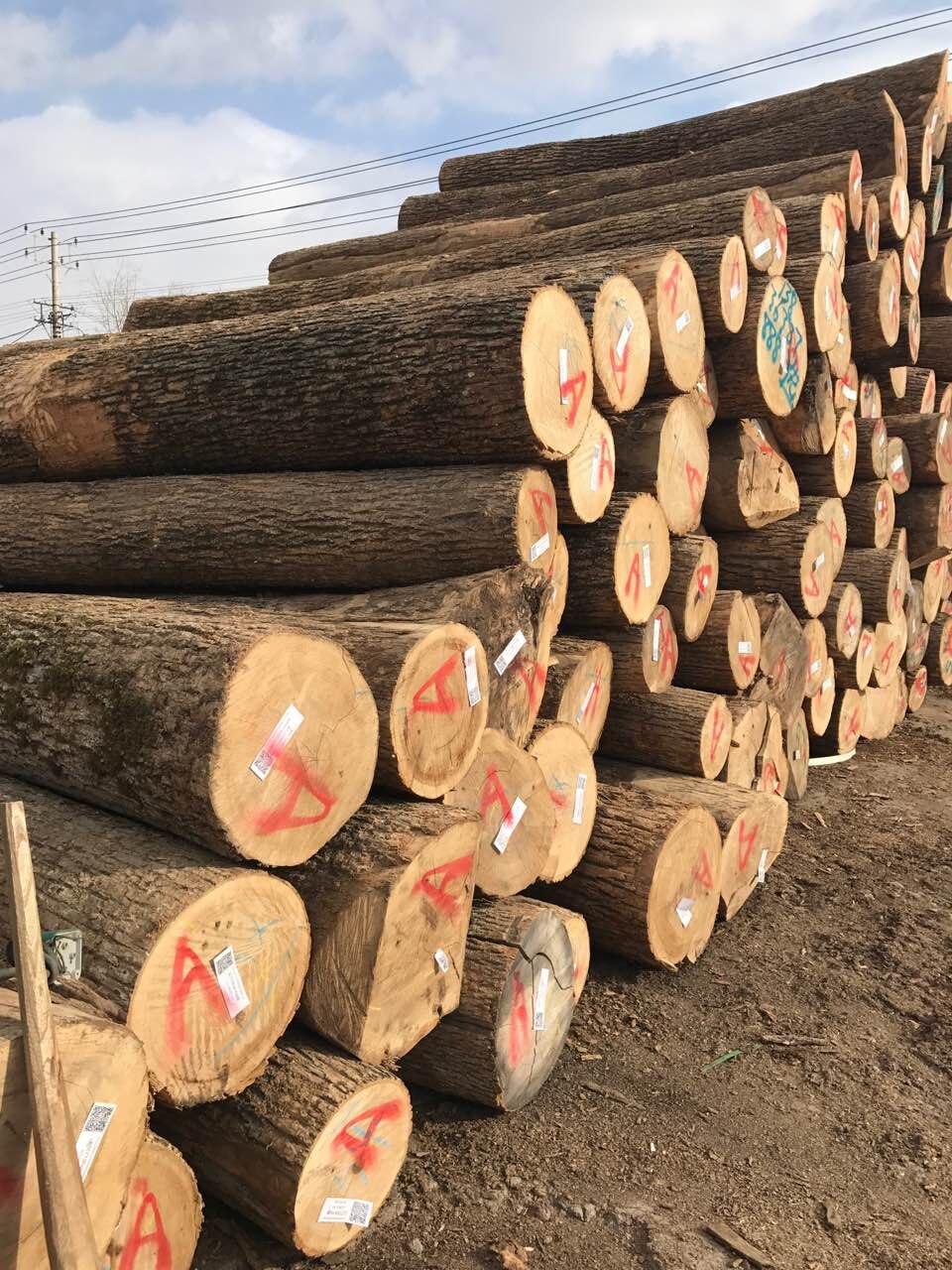 QQ圖片20180622151840.jpg QQ圖片20180622151840.jpg