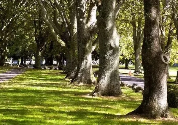 640.webp (1).jpg 640.webp (1).jpg