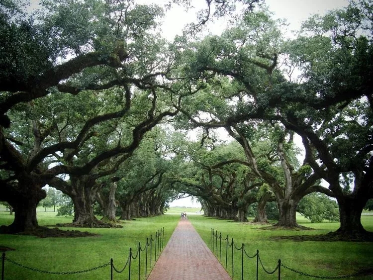 640.webp (9).jpg 640.webp (9).jpg