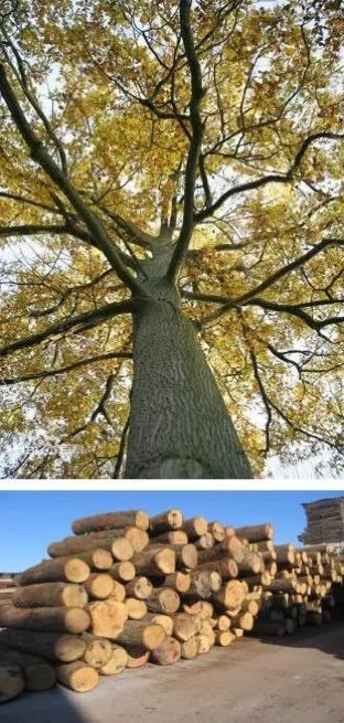 640.webp (10).jpg 640.webp (10).jpg