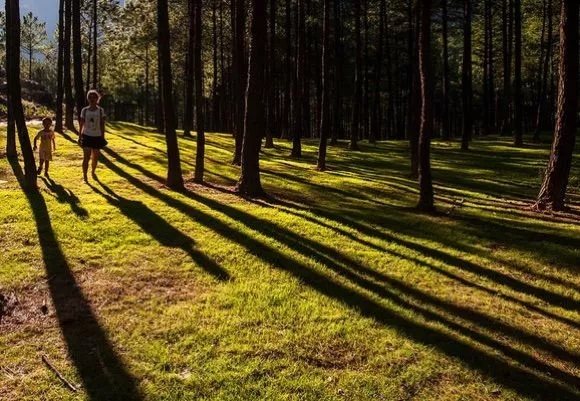 640.webp (11).jpg 640.webp (11).jpg