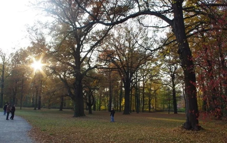 640.webp (12).jpg 640.webp (12).jpg