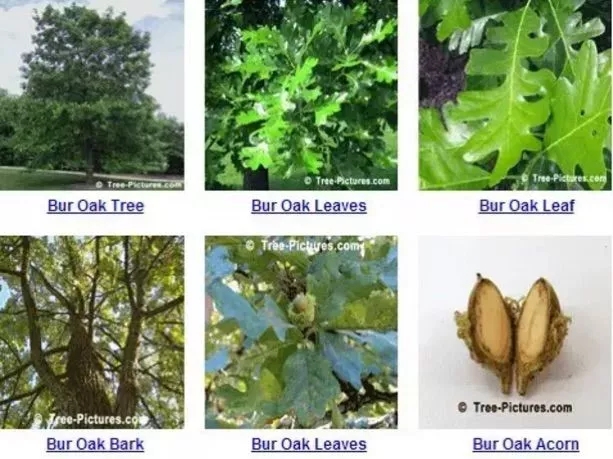 640.webp (13).jpg 640.webp (13).jpg