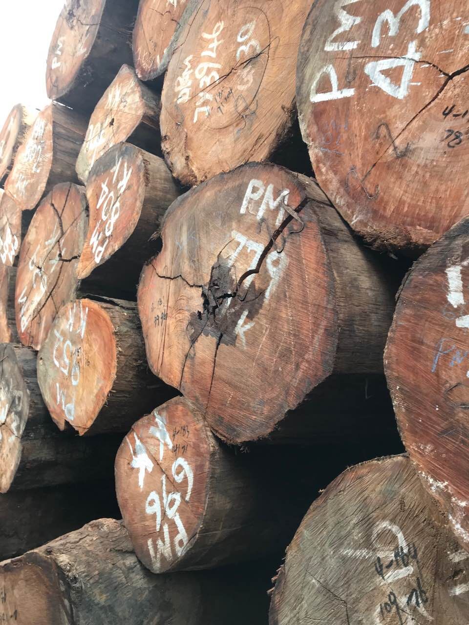 QQ圖片20180615161313.jpg QQ圖片20180615161313.jpg