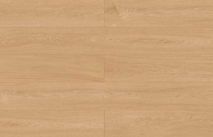 IK31003-春風(fēng)如木2.jpg IK31003-春風(fēng)如木2.jpg