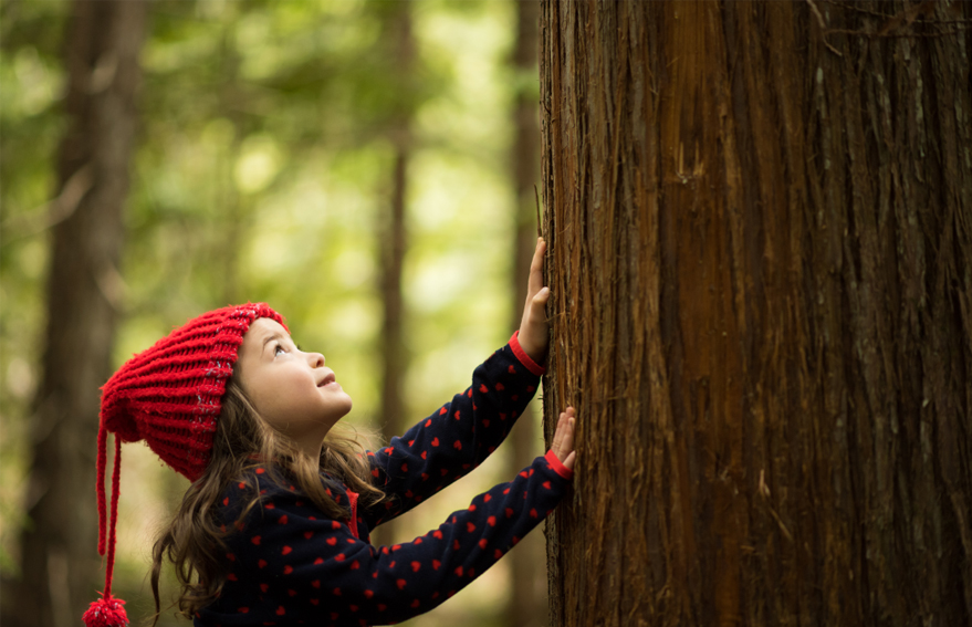 KG1682-2_0012_圖層 34.jpg KG1682-2_0012_圖層 34.jpg