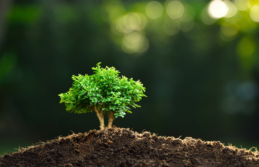 KG1682-2_0001_圖層 45.jpg KG1682-2_0001_圖層 45.jpg