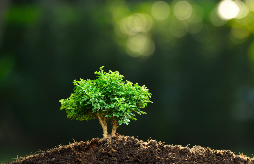 KG1682-2_0013_圖層 48.jpg KG1682-2_0013_圖層 48.jpg