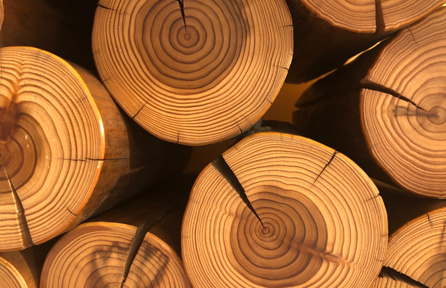 KG1682-2_0011_圖層 118.jpg KG1682-2_0011_圖層 118.jpg