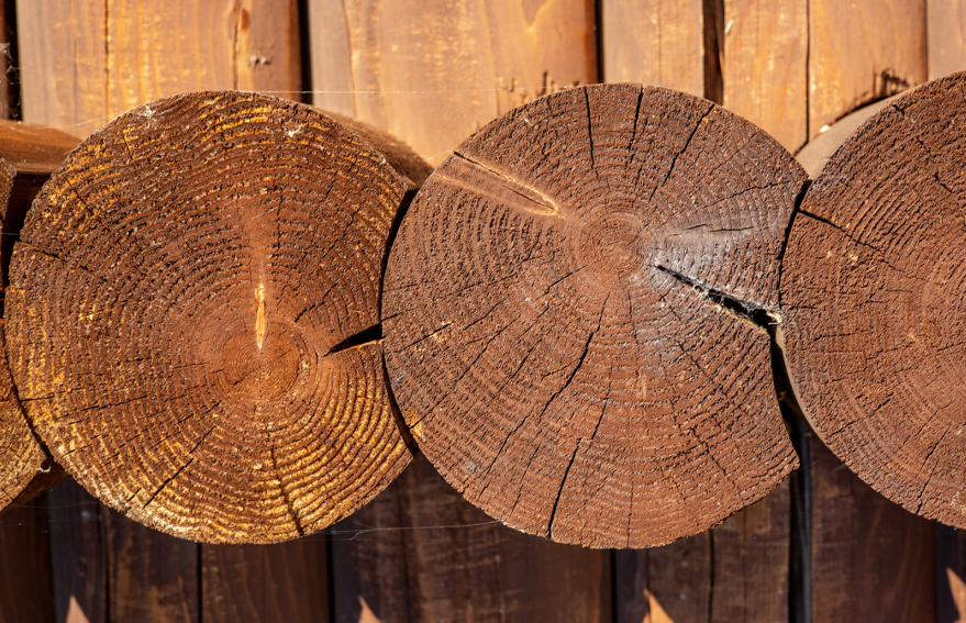 KG1682-2_0009_圖層 120.jpg KG1682-2_0009_圖層 120.jpg