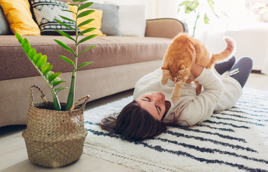 KG1682-2_0005_圖層 124.jpg KG1682-2_0005_圖層 124.jpg